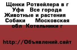 Щенки Ротвейлера в г.Уфа - Все города Животные и растения » Собаки   . Московская обл.,Котельники г.